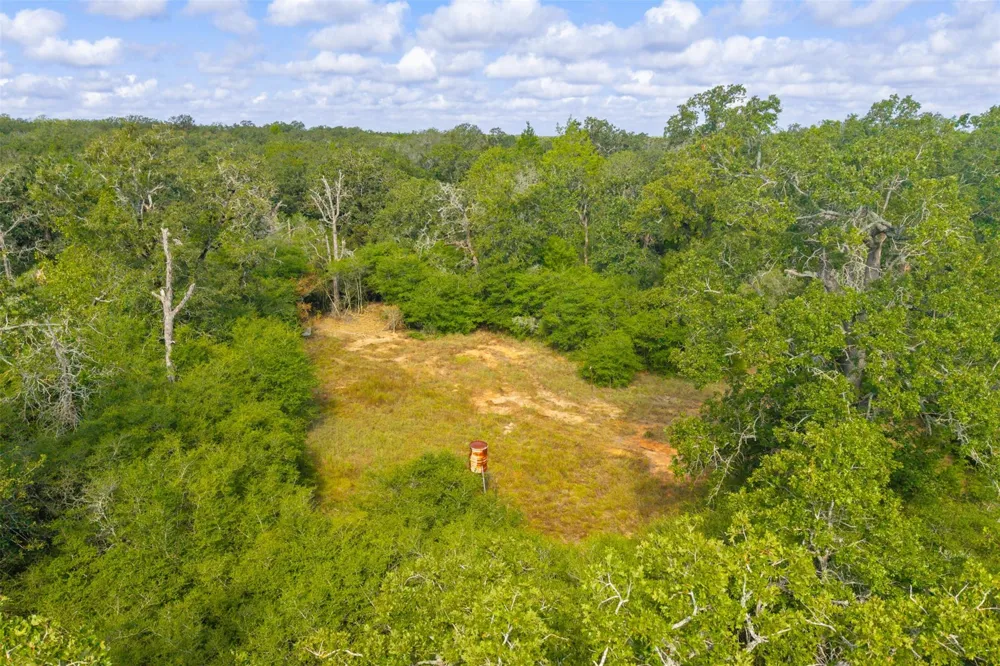 1960 County Road 413 Lexington, TX 78947