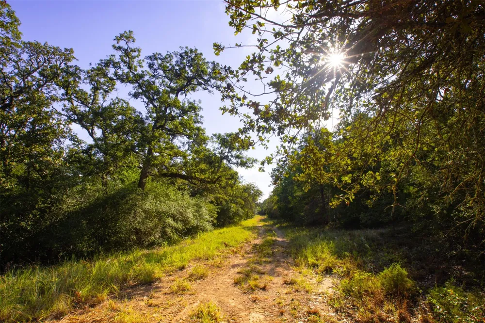 1960 County Road 413 Lexington, TX 78947