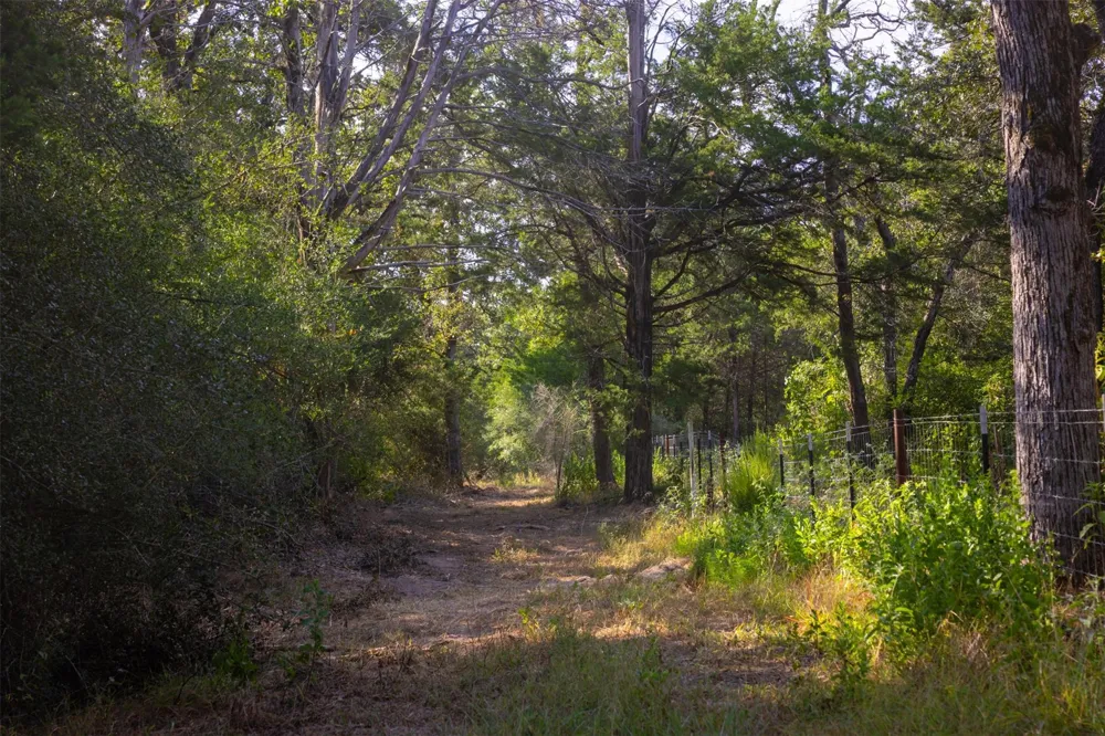 1960 County Road 413 Lexington, TX 78947
