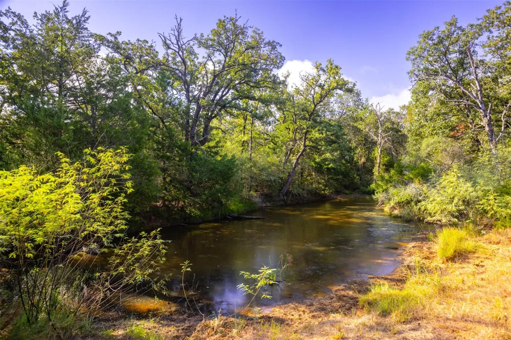 1960 County Road 413 Lexington, TX 78947