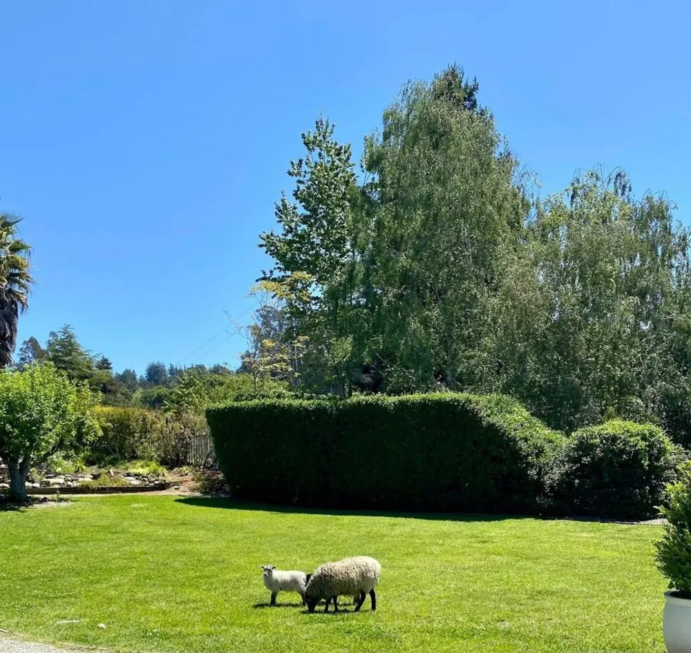 3999 Cherryvale Avenue Soquel, CA 95073