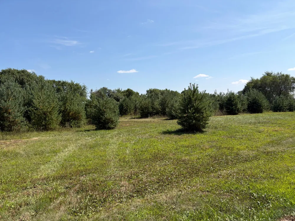 17938 US 71 Long Prairie, MN 56347