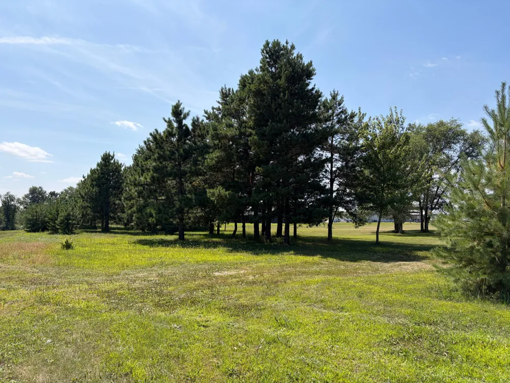 17938 US 71 Long Prairie, MN 56347