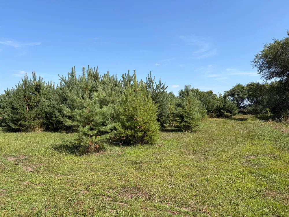 17938 US 71 Long Prairie, MN 56347