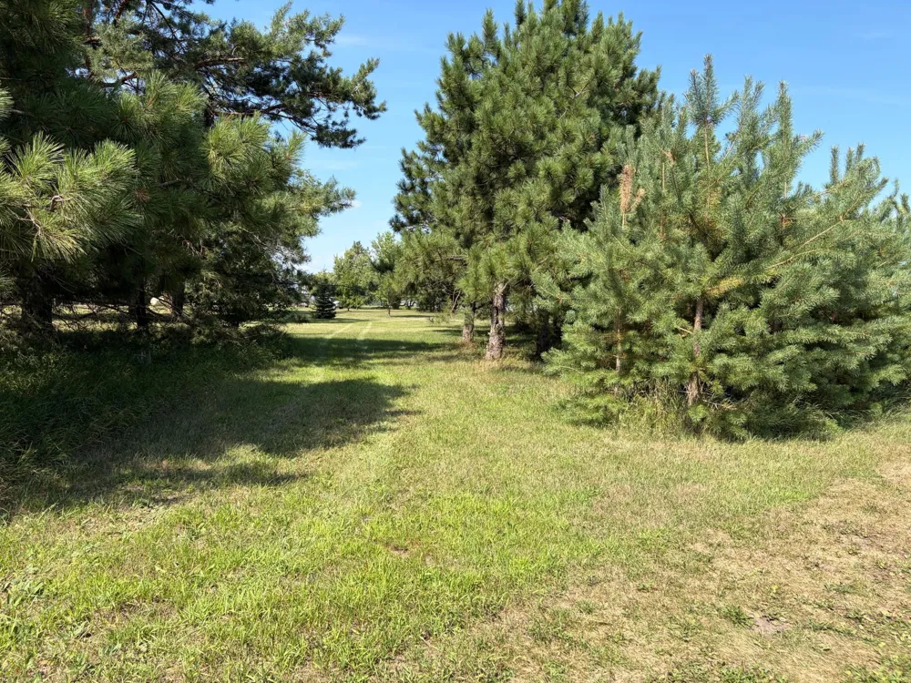 17938 US 71 Long Prairie, MN 56347
