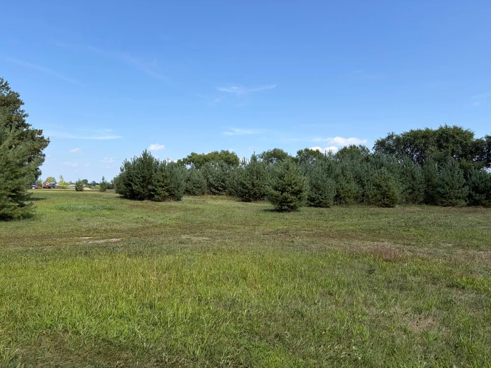 17938 US 71 Long Prairie, MN 56347