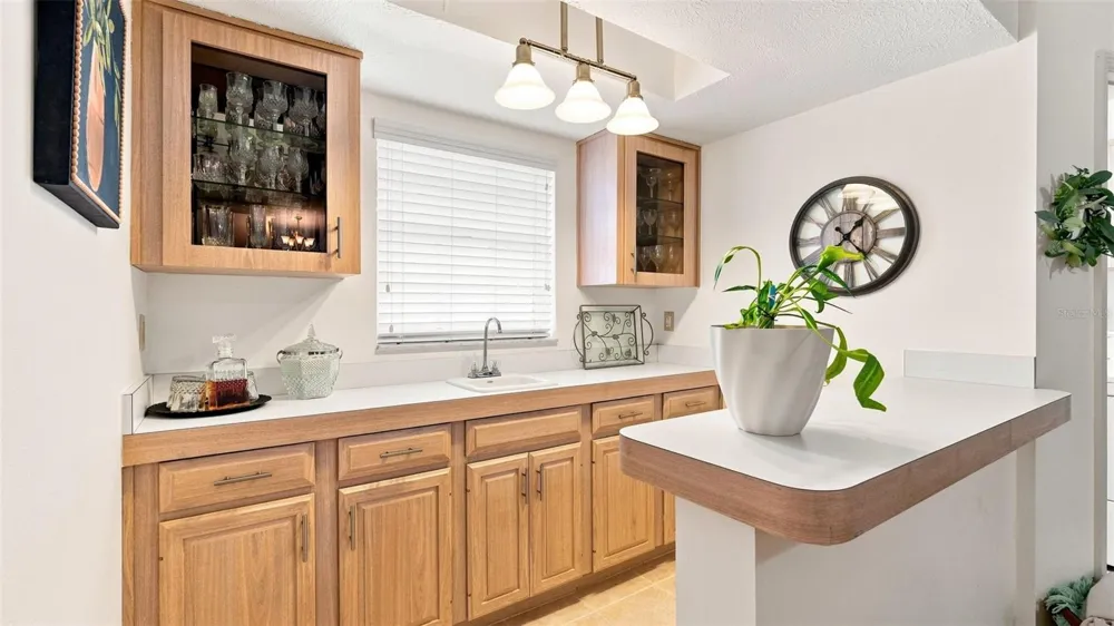 1140 S SOFTWIND LOOP Lecanto, FL 34461