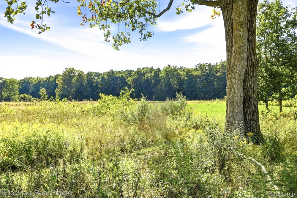 5727 Mackinaw Road Kochville Township, MI 48604