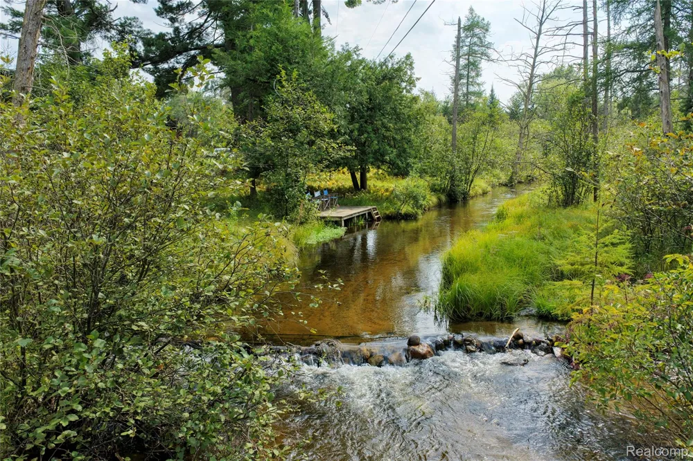 3900 W Park Road Big Creek Township, MI 48636