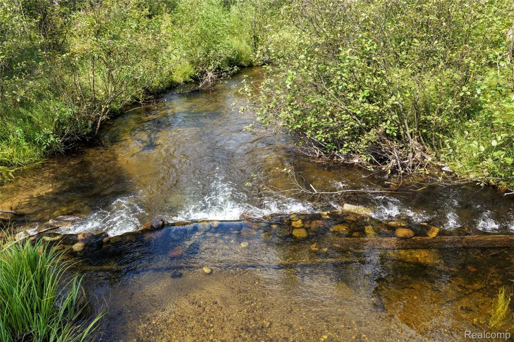 3900 W Park Road Big Creek Township, MI 48636