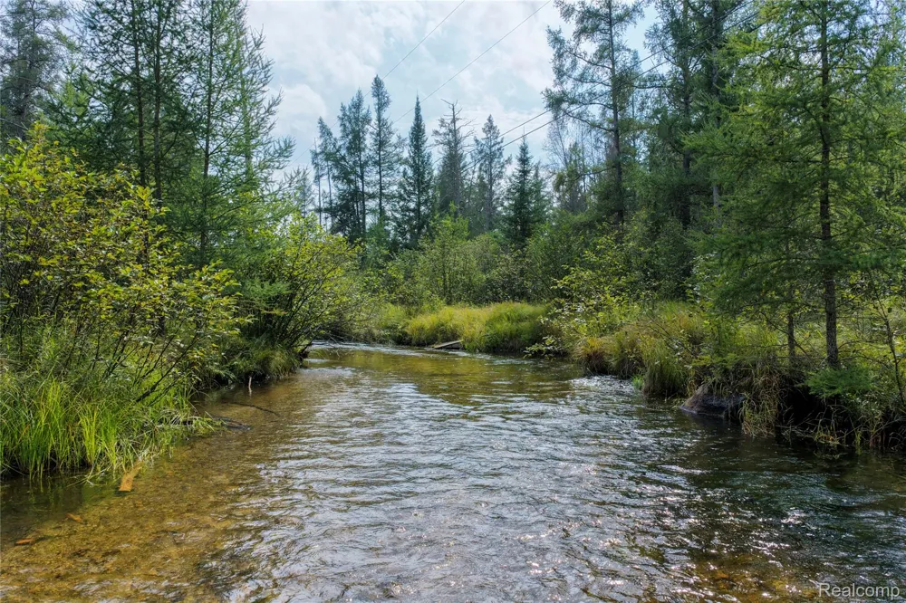 3900 W Park Road Big Creek Township, MI 48636