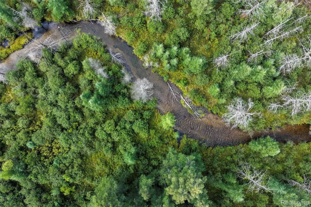 3900 W Park Road Big Creek Township, MI 48636