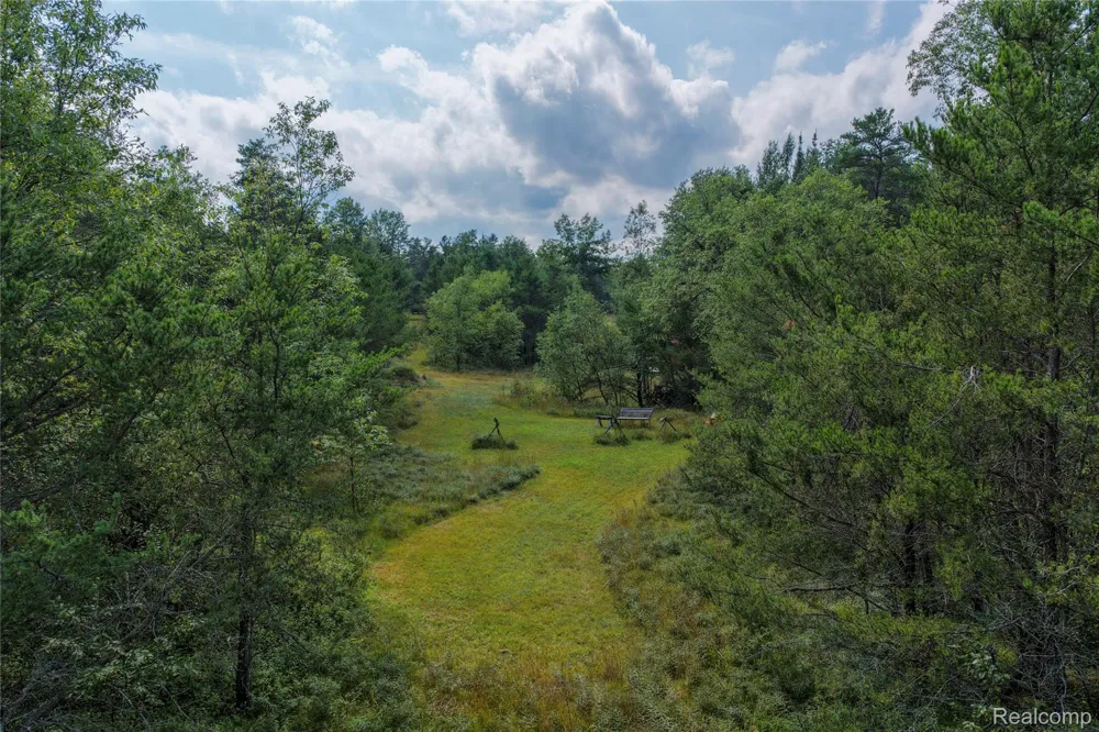 3900 W Park Road Big Creek Township, MI 48636