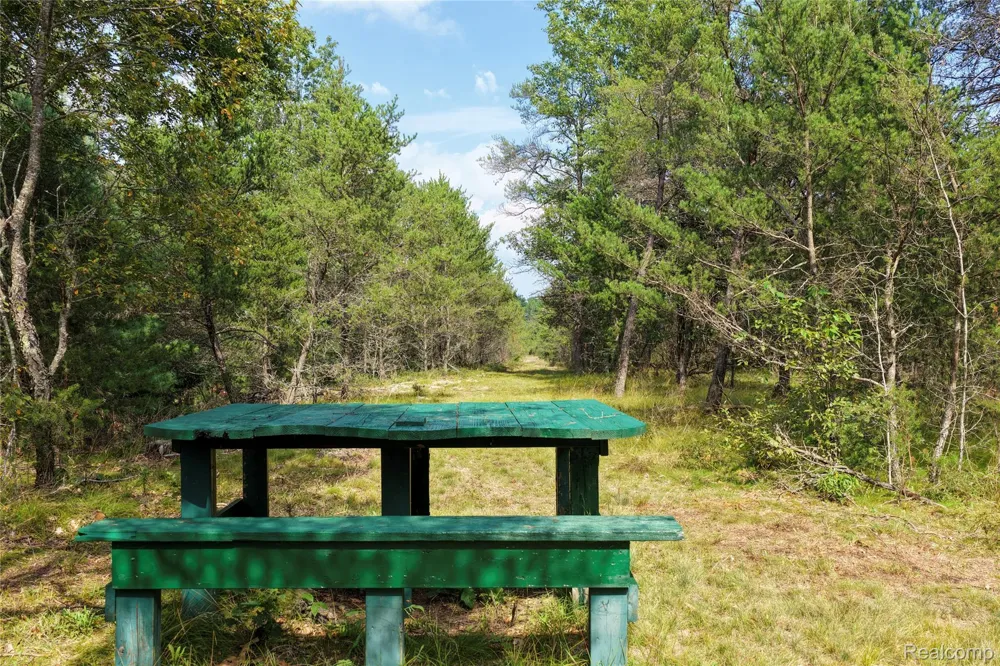 3900 W Park Road Big Creek Township, MI 48636
