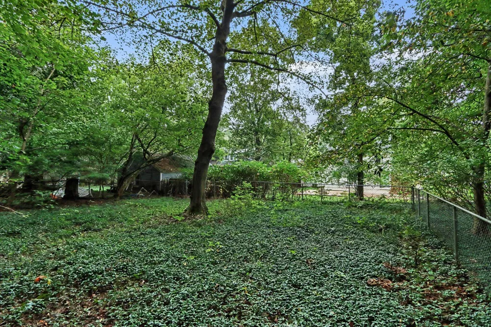 1101 Cherry Street Kalamazoo City, MI 49008
