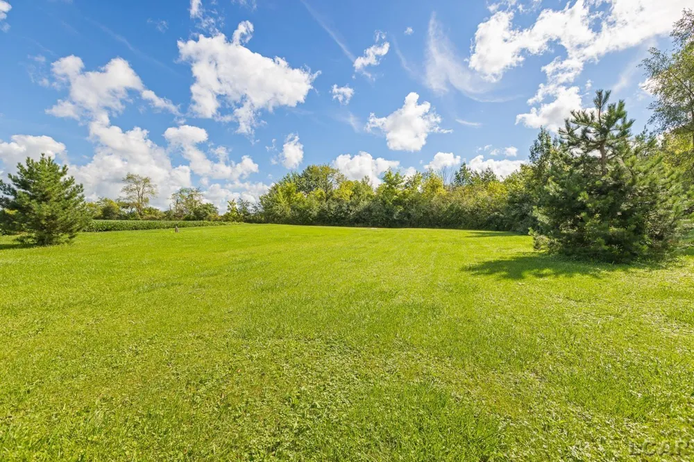 6561 N Adrian Highway Raisin Township, MI 49286