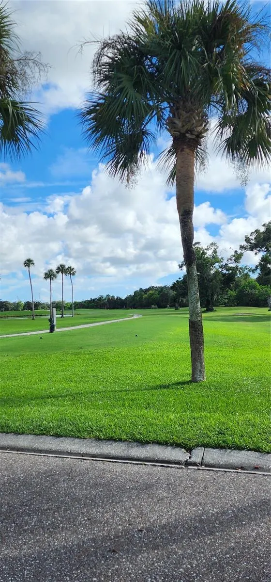 16 COUNTRY CLUB DRIVE #16 Largo, FL 33771