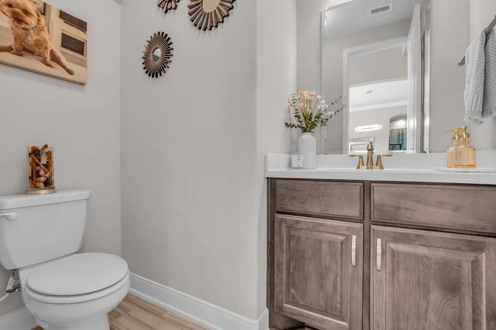 10415 Roseate Skimmer Conroe, TX 77385