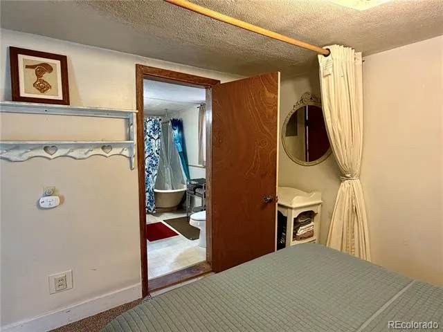 119 E 14th Street Leadville, CO 80461