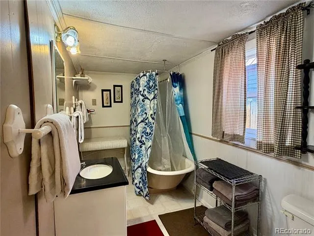 119 E 14th Street Leadville, CO 80461