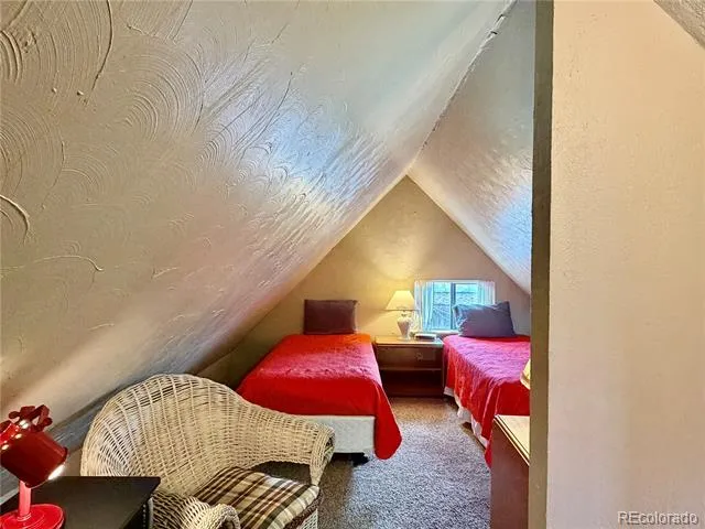 119 E 14th Street Leadville, CO 80461