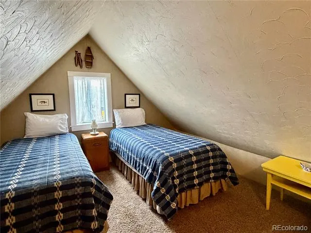 119 E 14th Street Leadville, CO 80461