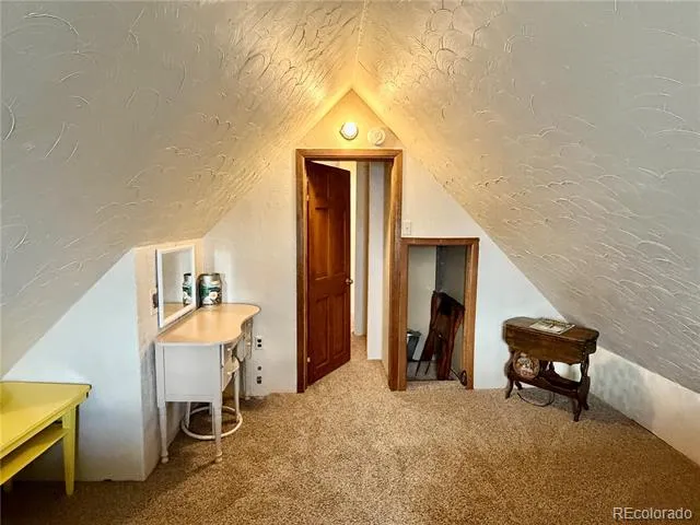 119 E 14th Street Leadville, CO 80461