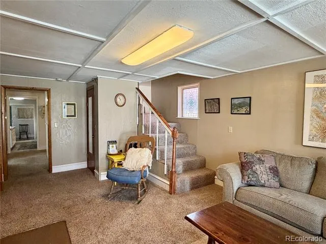 119 E 14th Street Leadville, CO 80461