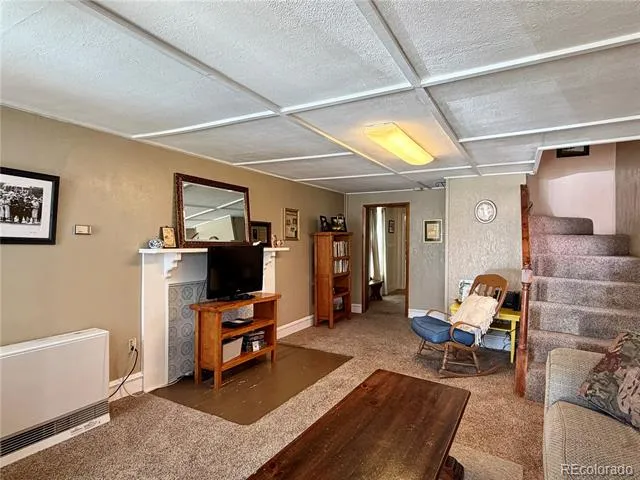 119 E 14th Street Leadville, CO 80461