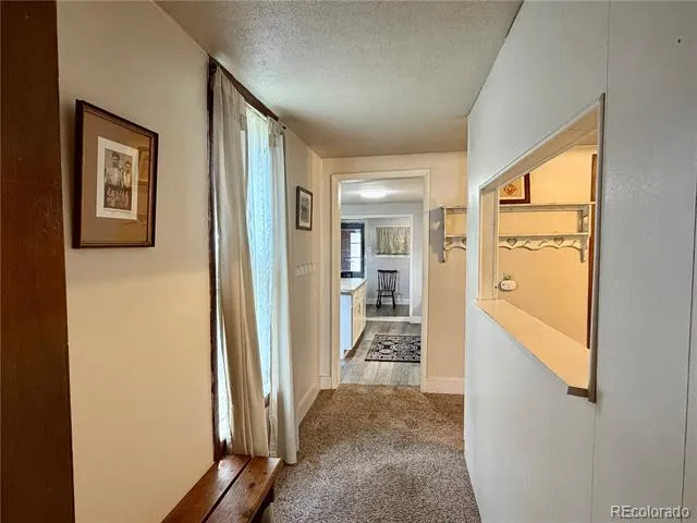 119 E 14th Street Leadville, CO 80461
