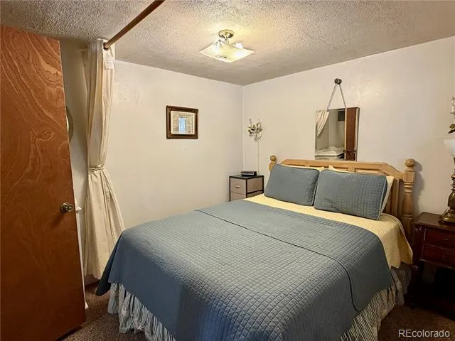 119 E 14th Street Leadville, CO 80461