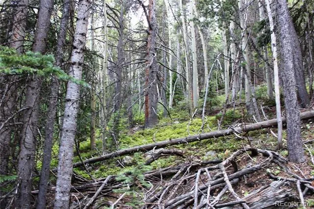 00 Gamble Gulch Black Hawk, CO 80422