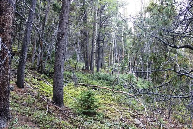 00 Gamble Gulch Black Hawk, CO 80422