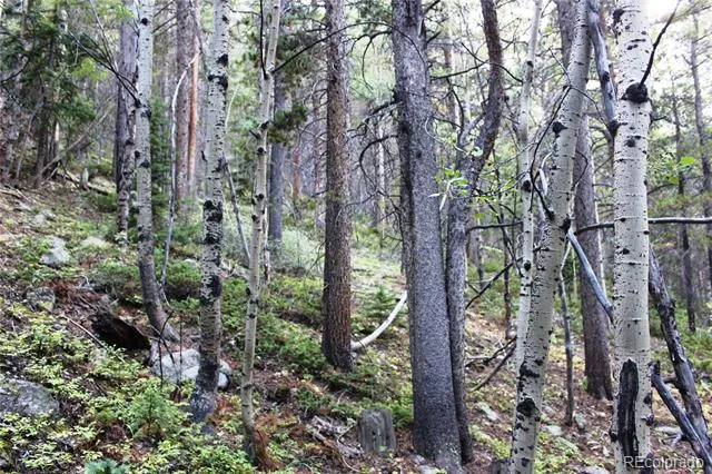 00 Gamble Gulch Black Hawk, CO 80422