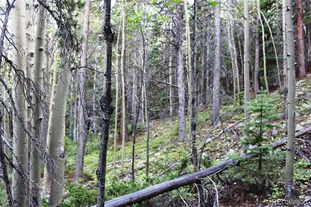 00 Gamble Gulch Black Hawk, CO 80422
