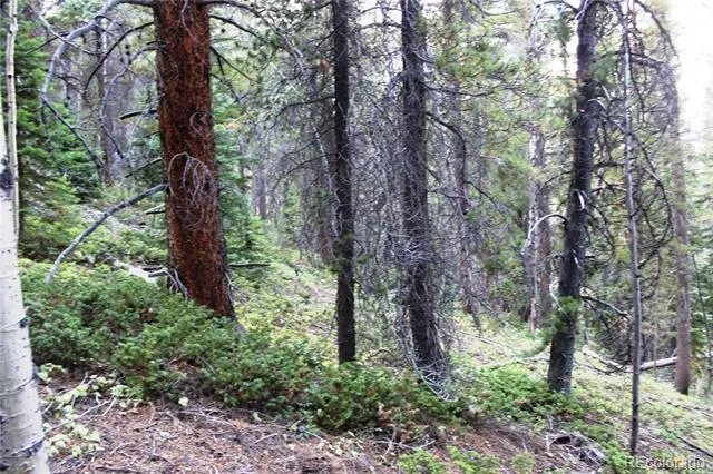 00 Gamble Gulch Black Hawk, CO 80422