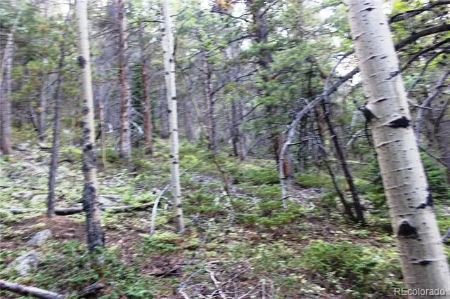 00 Gamble Gulch Black Hawk, CO 80422