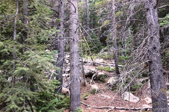 00 Gamble Gulch Black Hawk, CO 80422