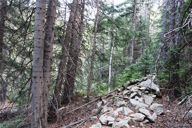 00 Gamble Gulch Black Hawk, CO 80422