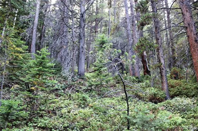 00 Gamble Gulch Black Hawk, CO 80422