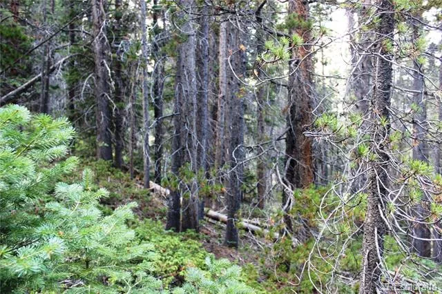 00 Gamble Gulch Black Hawk, CO 80422