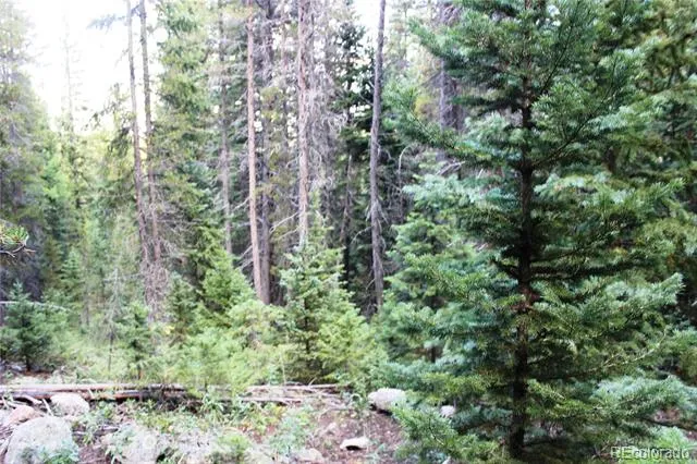 00 Gamble Gulch Black Hawk, CO 80422