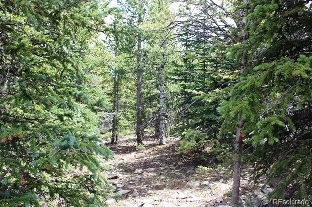 5285 Lucy Agnes Black Hawk, CO 80422