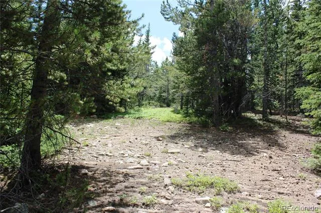 5285 Lucy Agnes Black Hawk, CO 80422