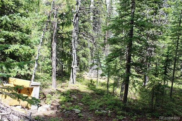 5285 Lucy Agnes Black Hawk, CO 80422