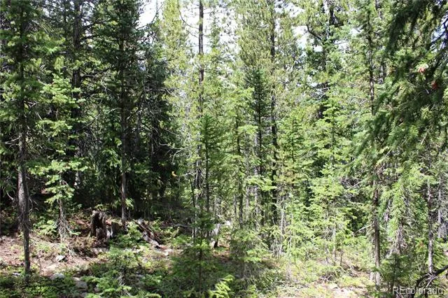 5285 Lucy Agnes Black Hawk, CO 80422
