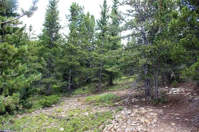 5285 Lucy Agnes Black Hawk, CO 80422