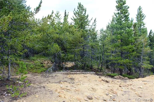 5285 Lucy Agnes Black Hawk, CO 80422