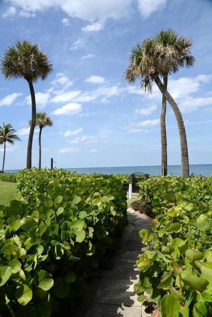70 CELESTIAL WAY #203 Juno Beach, FL 33408