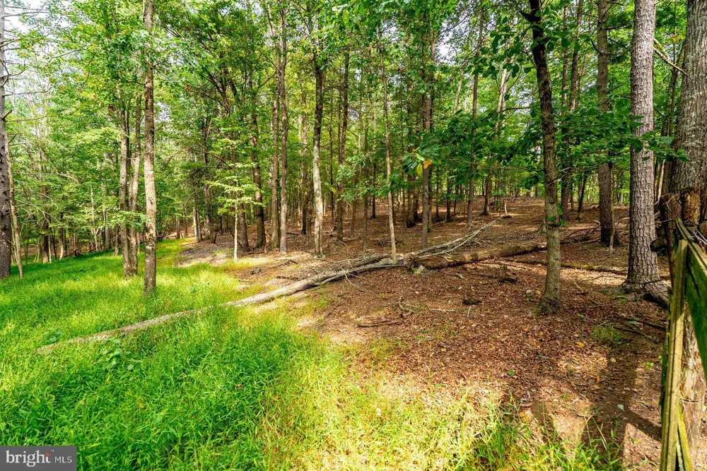 801 MOYERS LANE Mathias, WV 26812